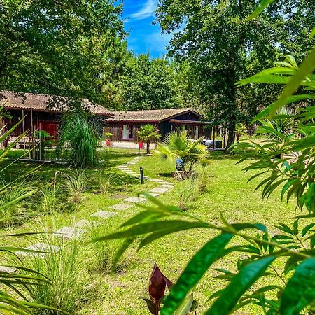 House de la Canopée with Swimming pool, Garden&WIFI Hourtin Exterior foto