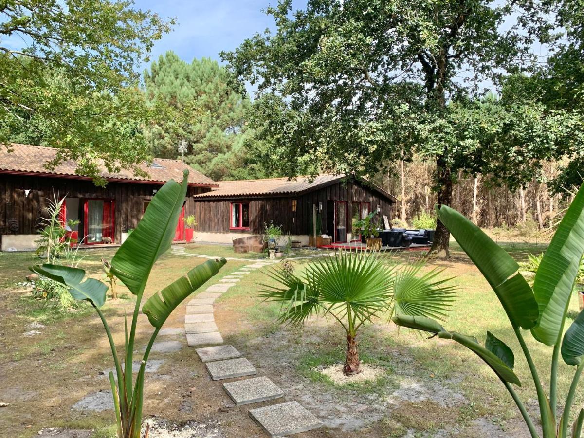 House de la Canopée with Swimming pool, Garden&WIFI Hourtin Exterior foto
