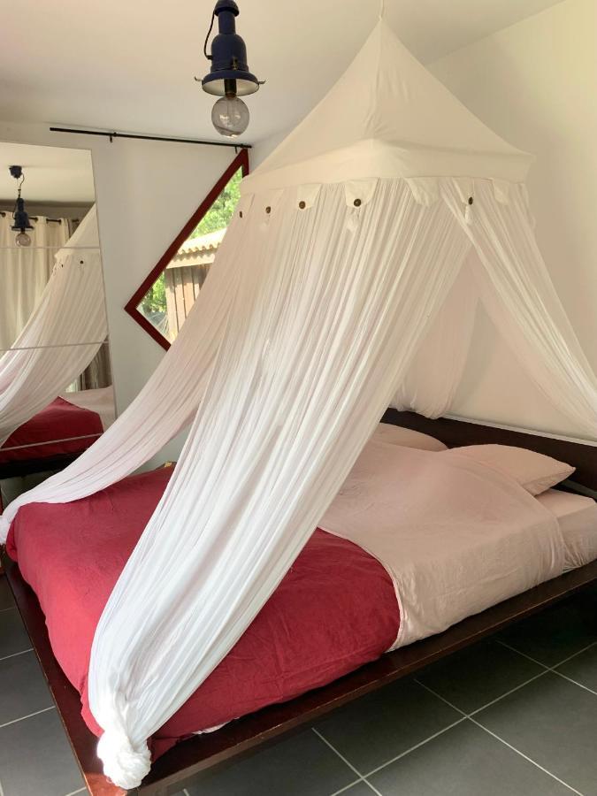 House de la Canopée with Swimming pool, Garden&WIFI Hourtin Exterior foto