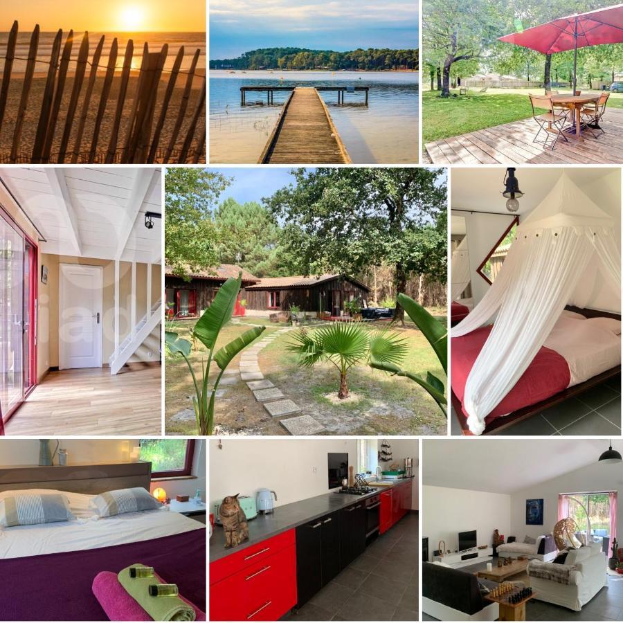 House de la Canopée with Swimming pool, Garden&WIFI Hourtin Exterior foto