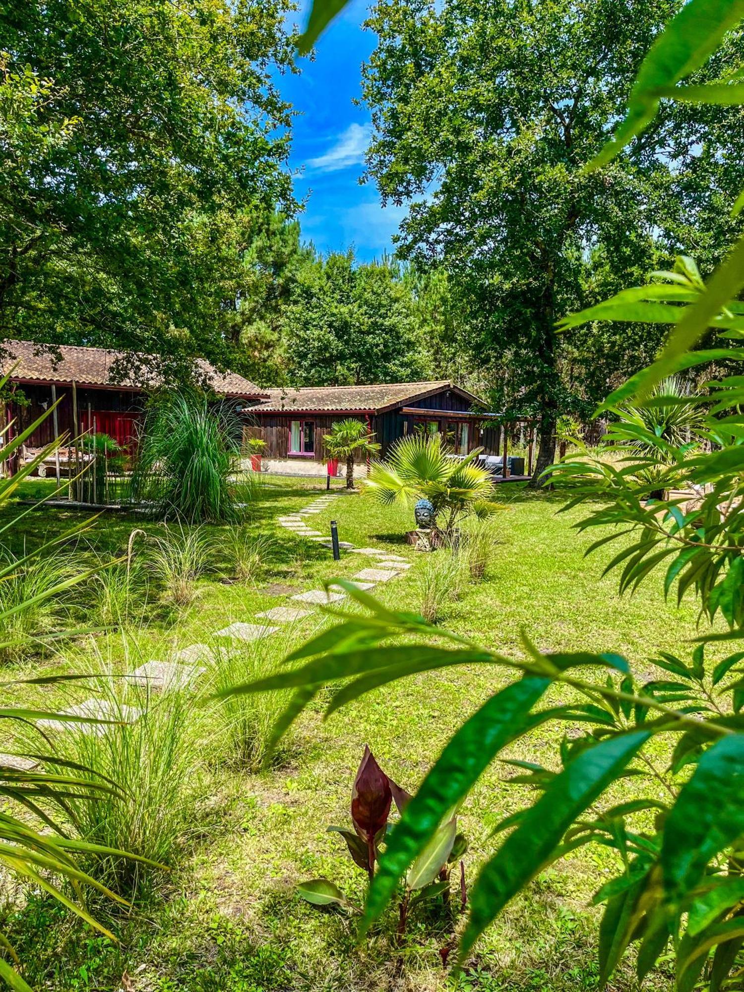 House de la Canopée with Swimming pool, Garden&WIFI Hourtin Exterior foto